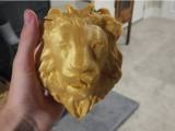 Flat Lion Head